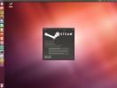 screenshot-client-steam-pentru-linux-1