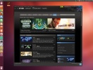 screenshot-client-steam-pentru-linux-3