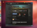 screenshot-client-steam-pentru-linux
