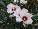 img_19700222_155943