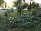 img_19700222_160154