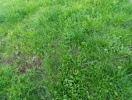 img_20151025_171604