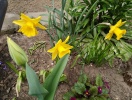 img_20150404_151939