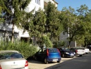 IMG_19700318_122440