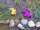 img_20141028_183629
