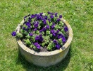 20140525_035403