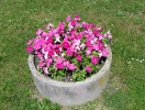 20140525_035455