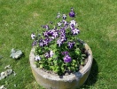 20140525_035611