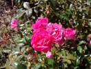 IMG_20140924_121512