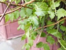 IMG_20141119_110715