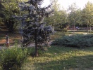 imag0023