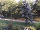 imag0025