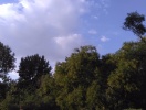 imag0031