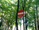 IMAG0054