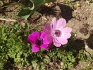 imag0034