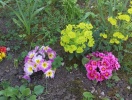 imag0038