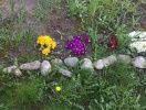 imag0039