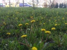imag0040