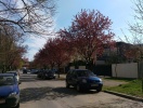 imag0043