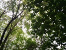 img_20150921_143654