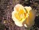 WP_20140924_025