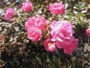 WP_20140924_026