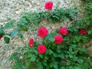 img_20140305_001243
