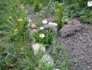 20150426_142744