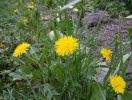 20150426_142752