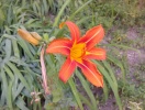 20150607_150410