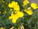 20150607_150809