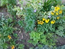 20160415_185219