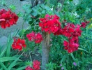 WP_20140623_15_42_00_Pro