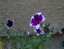 WP_20140623_15_42_44_Pro