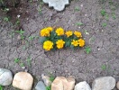 img_20170517_164048142