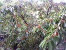 IMG_20140524_115553