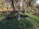 img_20151117_142517