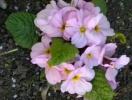 wp_20140331-3
