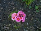 wp_20140331-4