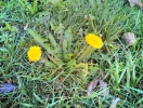 IMG_19700103_023727