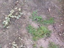 IMG_20150203_172453