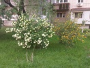 imag0014