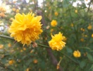 imag0016