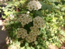 imag0022