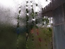 imag0026