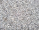 img_20131220_150251
