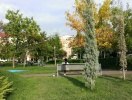 imag0027