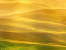 screenshot_2012-09-29-02-42-14