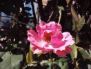 IMG_20140909_160830