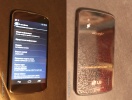 lg-e960-nexus-5